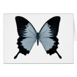 Big Blue & Black Butterfly Greeting Cards