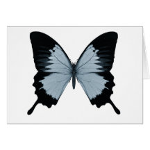 Big Blue & Black Butterfly Greeting Cards