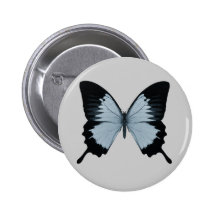 Big Blue & Black Butterfly Pinback Button