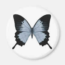 Big Blue & Black Butterfly Refrigerator Magnets