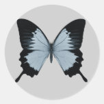 Big Blue & Black Butterfly Sticker