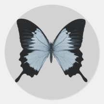 Big Blue & Black Butterfly Sticker