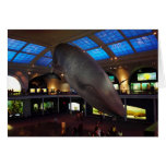 Big Blue Whale Greeting Card