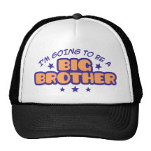 Big Brother Trucker Hat