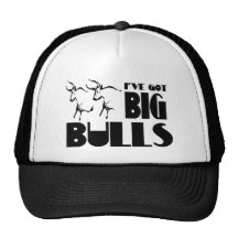 Big Bulls - Funny Farmer Trucker Hats