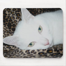 Big Cat Dreams Mouse Mats