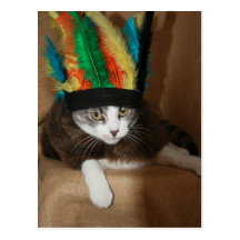 Big Chief Mikie Postcard