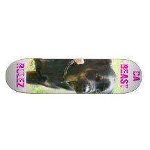 Big Dawg Board Skate Boards
