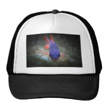 Big Eyed Fish Hat