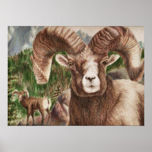 Big Horn Poster