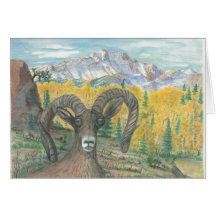 Big Horn Sheep Card