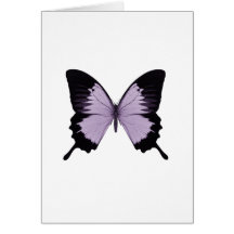 Big Purple & Black Butterfly Card