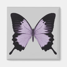 Big Purple & Black Butterfly Magnets