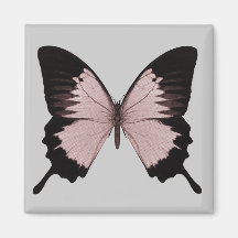 Big Red & Black Butterfly Fridge Magnets