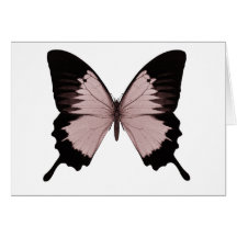 Big Red & Black Butterfly Greeting Cards