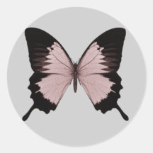 Big Red & Black Butterfly Round Sticker