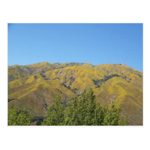 Big Sur, Ca. Post Card