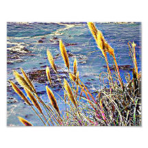 Big Sur Photo Print
