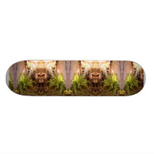 Bike Lane in the Light Skate Decks