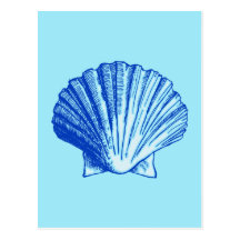 Bimini Blue Sea Shell Post Card