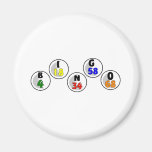 Bingo Numbers Magnet
