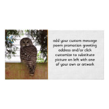 Birch Bay Owl Picture Card