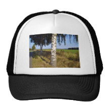 Birch Tree Trunk along roadside Mesh Hat