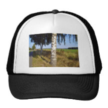 Birch Tree Trunk along roadside Mesh Hats