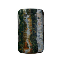 Birch Woods Blackberry Bold Covers