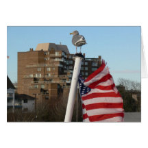 Bird and US Flag Journey Greeting Cards