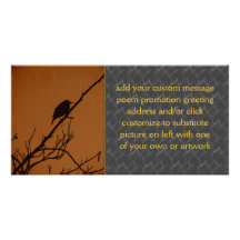 Bird Art Photo Cards