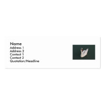 Bird Card Business Card Templates