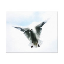bird fly in the sky canvas prints