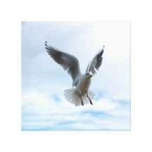 bird fly in the sky gallery wrapped canvas