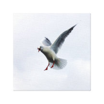 Bird fly in the sky stretched canvas prints