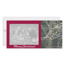 bird in a winter tree photo card template