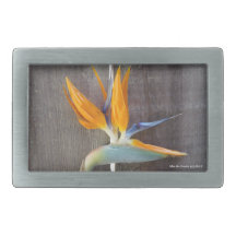 Bird of Paradise - Belt Buckle