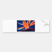Bird of Paradise Bumper Sticker