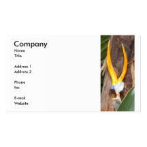 Bird of Paradise Business Card Templates