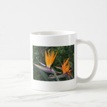 bird of paradise coffee mug