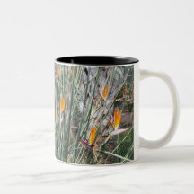 Bird of Paradise Coffee Mug