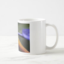 Bird of Paradise Flower 1 Mug
