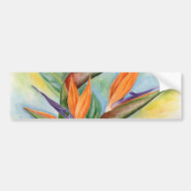 Bird Of Paradise Flower Art - Multi Bumper Sticker