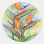 Bird Of Paradise Flower Art - Multi Round Stickers