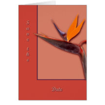Bird of Paradise Greeting Cards