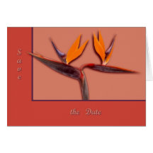 Bird of Paradise Greeting Cards