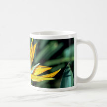 Bird of paradise mug