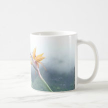 Bird of Paradise mug
