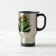 Bird of Paradise Mugs