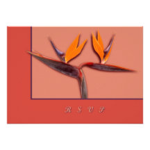Bird of Paradise Personalised Announcement